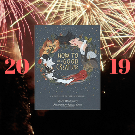 20181230_181407_0000